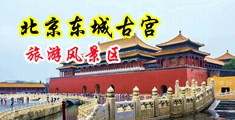 黄色视频添逼中国北京-东城古宫旅游风景区